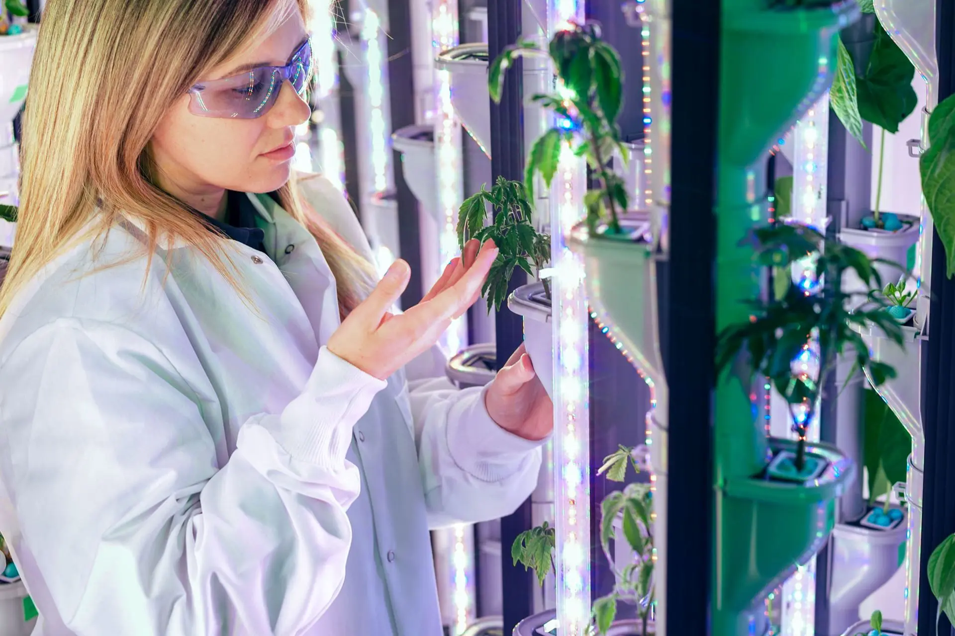 Indoor veritical farming