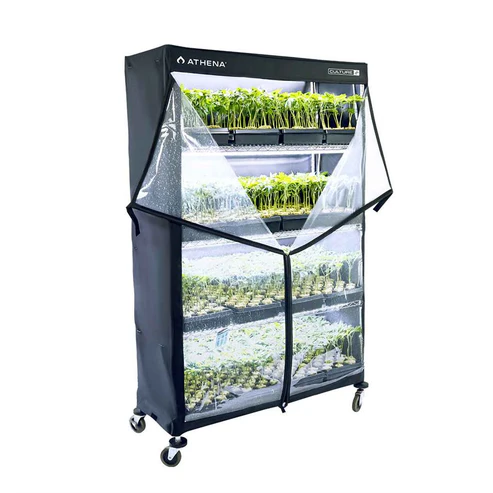 [SP-A-VPD-48x72x18in-R2] Athena VPDome 48'' x 72'' x 18''